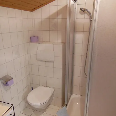 Dirlinger By Schladmingurlaub Apartment